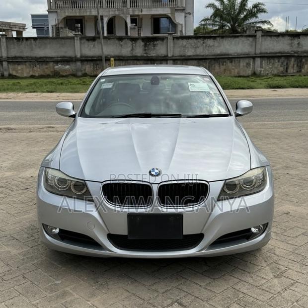 BMW 320i Sedan RWD 2010 Silver