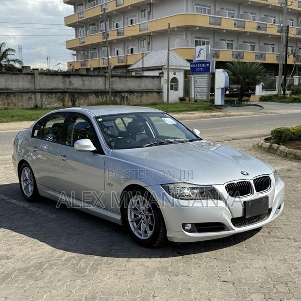 BMW 320i Sedan RWD 2010 Silver