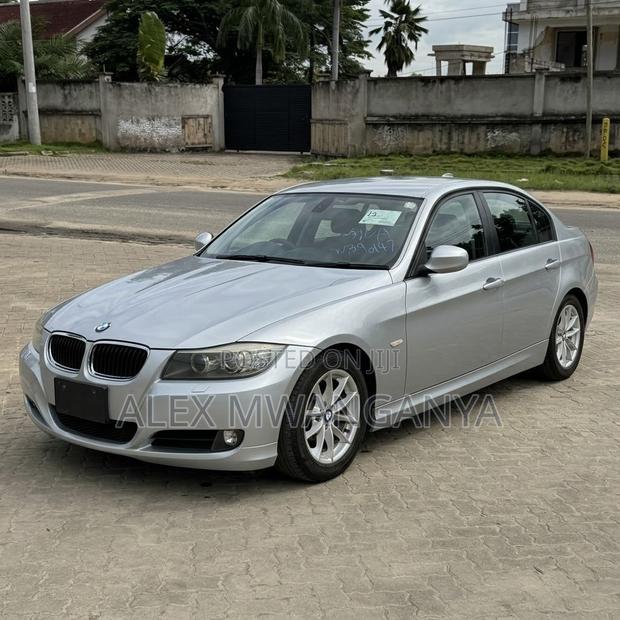 BMW 320i Sedan RWD 2010 Silver