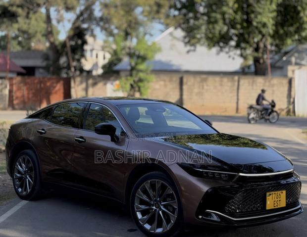 Toyota Crown 2024 Brown