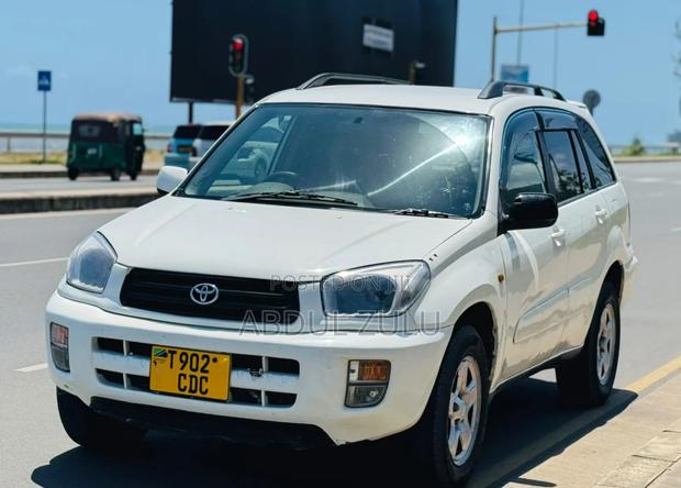 Toyota RAV4 2004 White