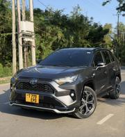 Toyota RAV4 2023 Gray for sale