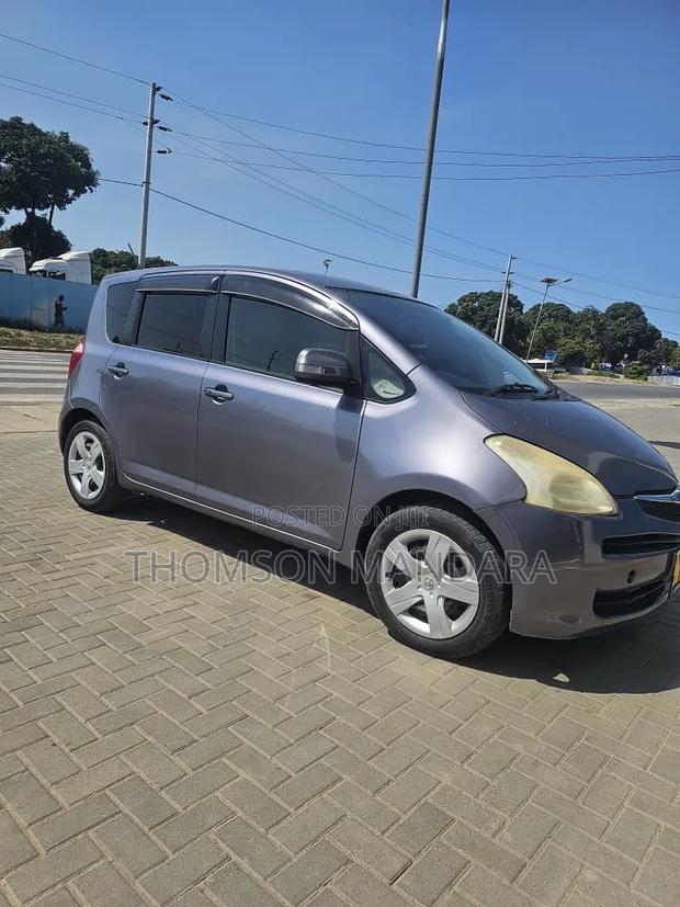 Toyota Ractis 2007 Gray