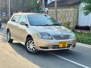 Toyota Allex 2004 Gold for sale