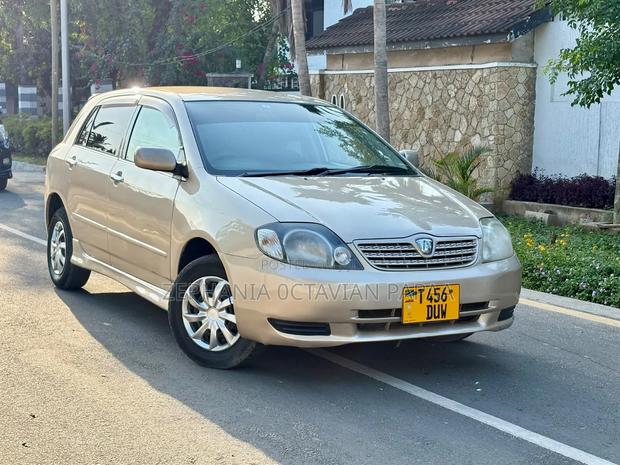 Toyota Allex 2004 Gold