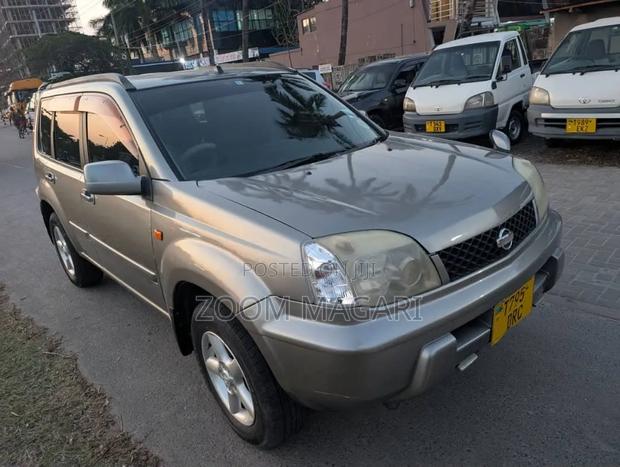 Nissan X-Trail 2002 Gray