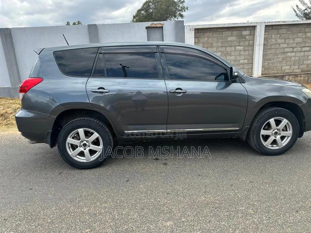 Toyota Vanguard 2010 Gray