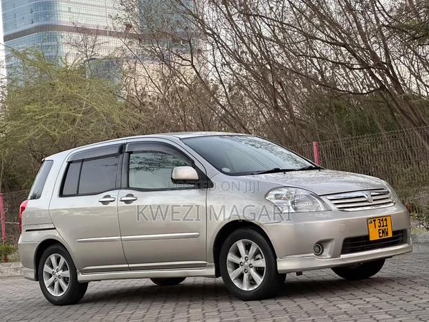 Toyota Raum 2006 Gray