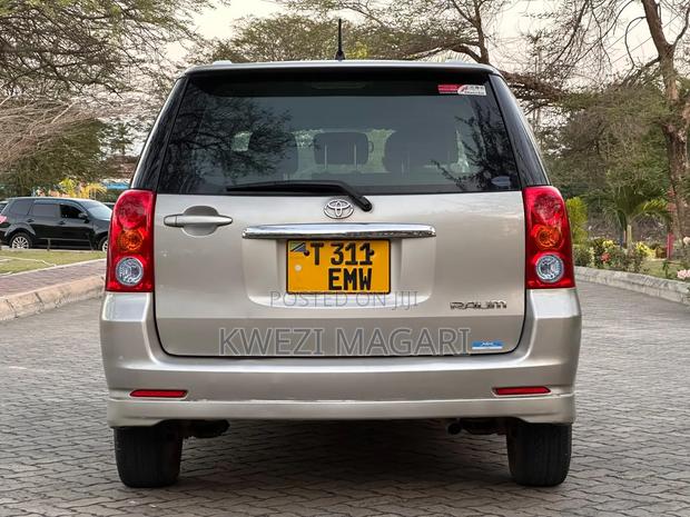 Toyota Raum 2006 Gray