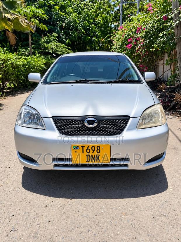 Toyota Corolla RunX 2003 Silver