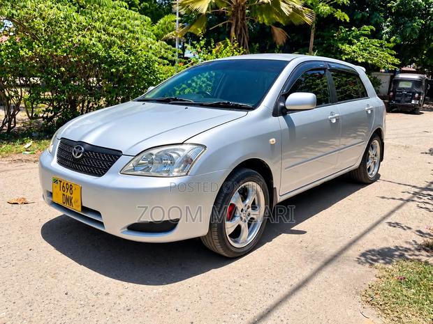 Toyota Corolla RunX 2003 Silver