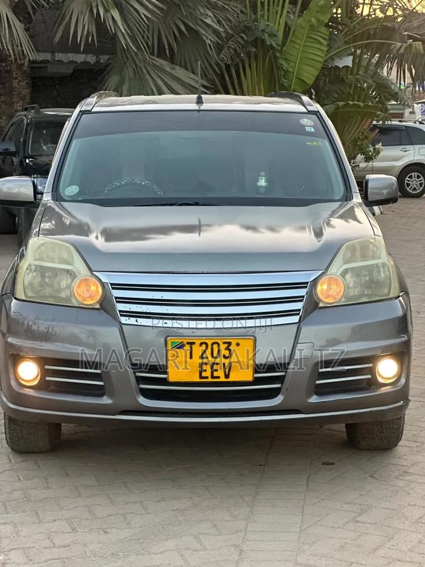 Nissan X-Trail 2.0 2006 Gray