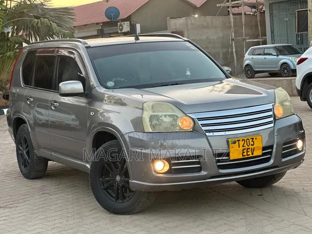 Nissan X-Trail 2.0 2006 Gray