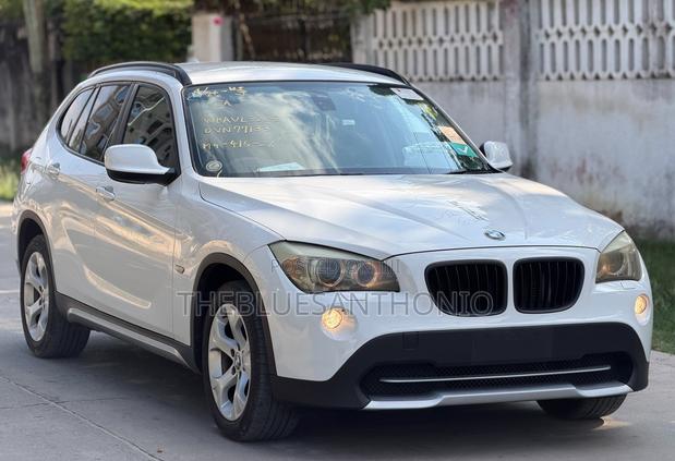 BMW X1 2011 Pearl