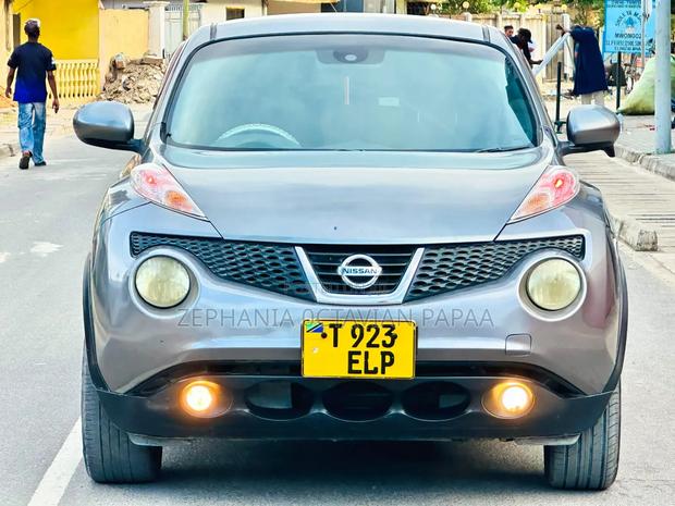 Nissan Juke 2011 Gray