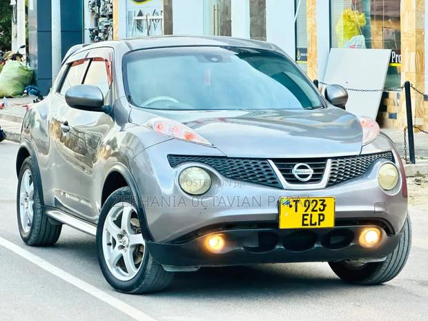 Nissan Juke 2011 Gray