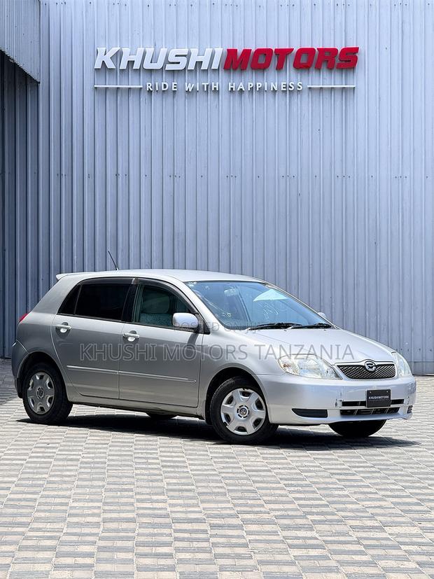 Toyota Corolla RunX 2001 Silver