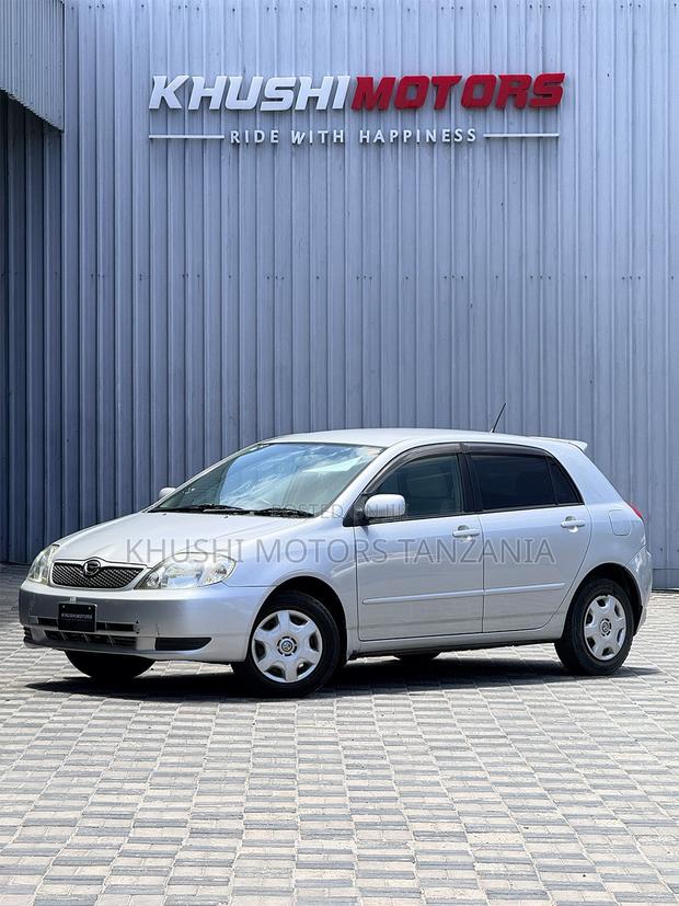 Toyota Corolla RunX 2001 Silver