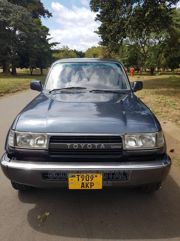 Toyota Land Cruiser 1996 Gray