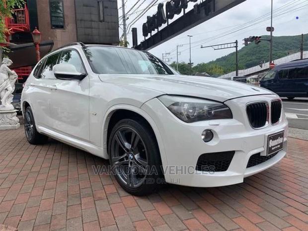 BMW X1 2011 Pearl