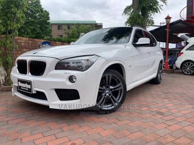 BMW X1 2011 Pearl
