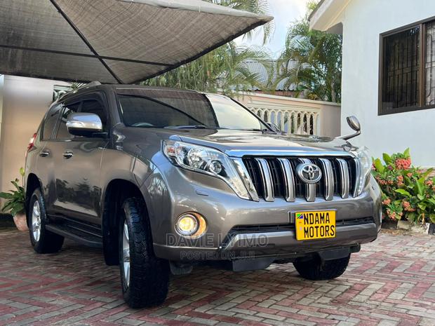 Toyota Land Cruiser 2010 Gray