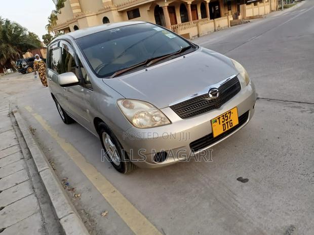 Toyota Corolla Spacio 2003 Gray