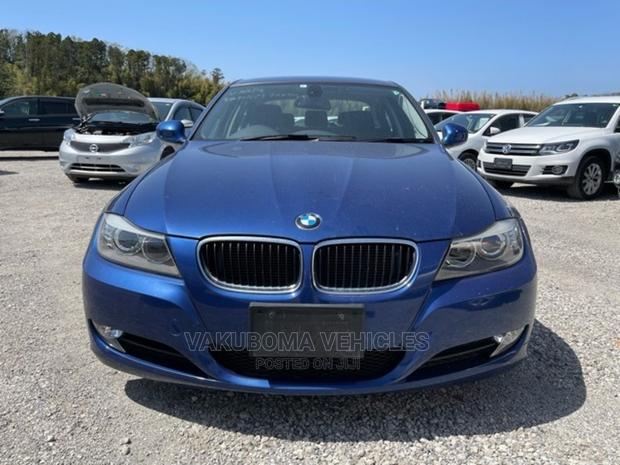 BMW 320i 2011 Blue