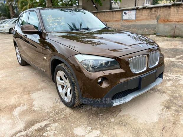 BMW X1 2010 Brown