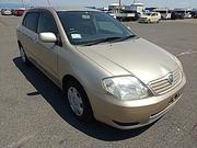 Toyota Allex 2001 Gold for sale