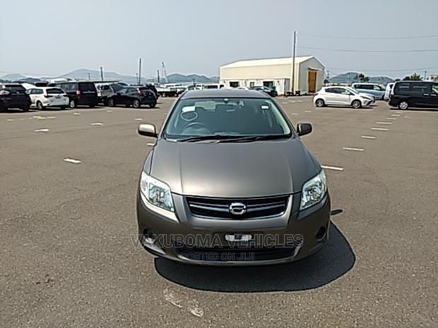 Toyota Corolla Fielder 2009 Gray