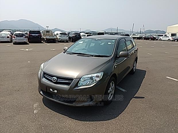 Toyota Corolla Fielder 2009 Gray