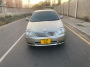 Toyota Allex 2002 Gold for sale