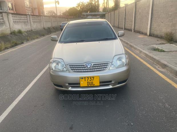 Toyota Allex 2002 Gold