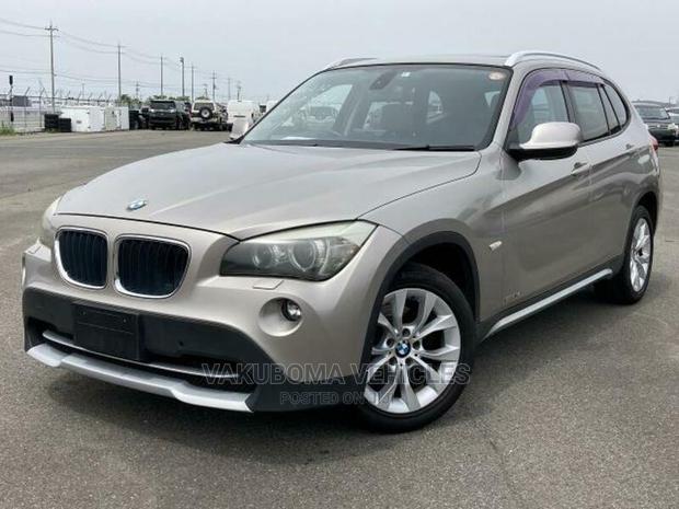 BMW X1 2011 Gray
