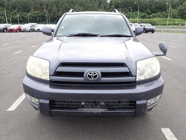 Toyota Hilux Surf 2005 Blue