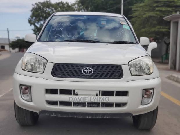 Toyota RAV4 2002 White