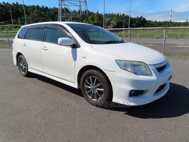 Toyota Corolla Fielder 2009 Pearl