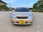 Toyota Allex 2002 Gold for sale