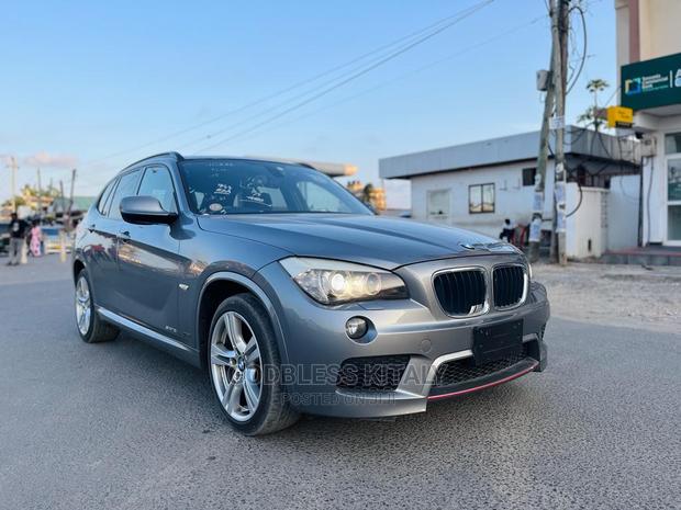 BMW X1 2011 Gray