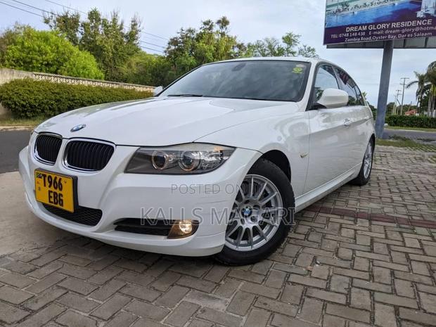 BMW 3 Series 2010 White