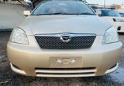 Toyota Allex 2003 Gold for sale