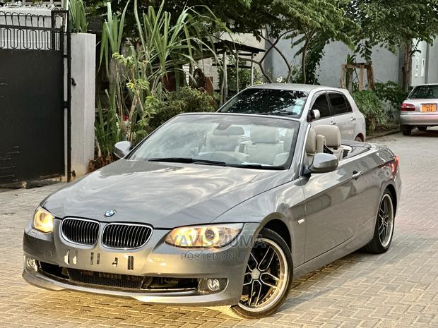 BMW 3 Series 2010 Gray