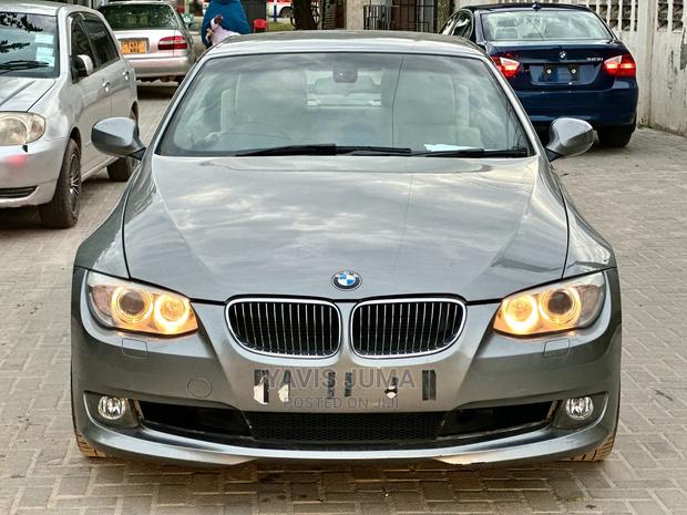 BMW 3 Series 2010 Gray