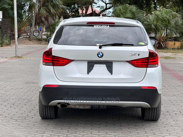 BMW X1 2010 Pearl
