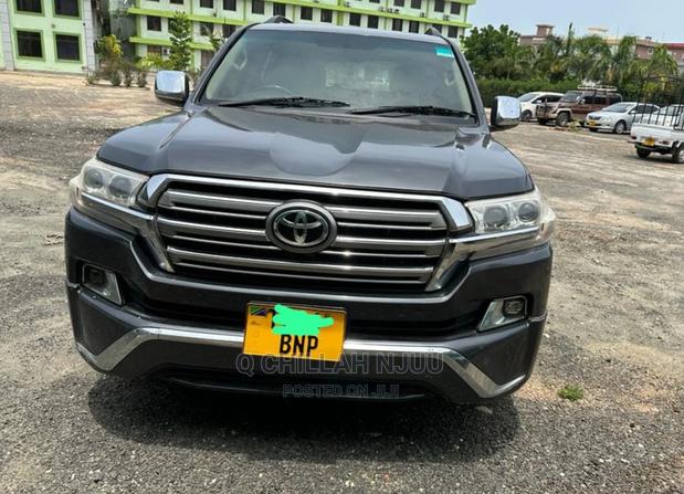 Toyota Land Cruiser 2010 Gray