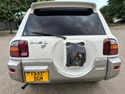 Toyota RAV4 Cabriolet 1998 Silver for sale