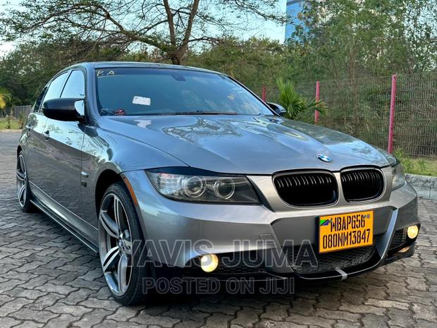 BMW 320i 2010 Gray