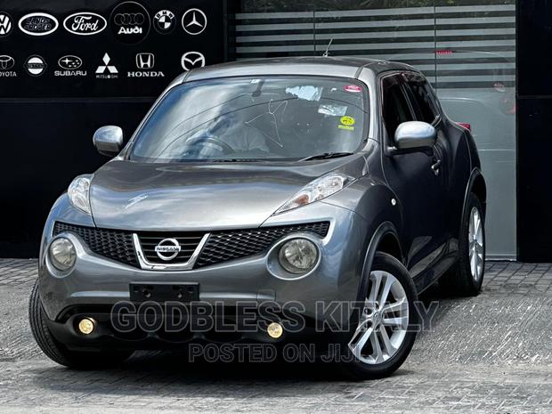 Nissan Juke 2012 Gray