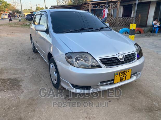 Toyota Allex 2004 Silver